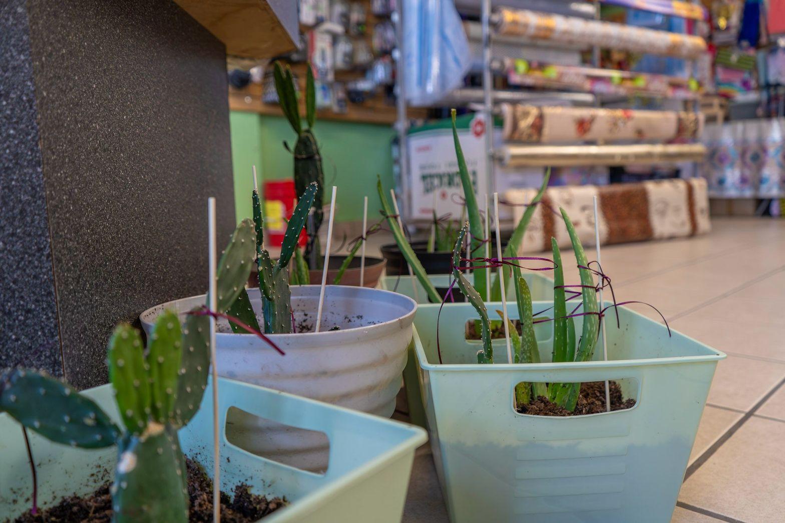 Artículos religiosos